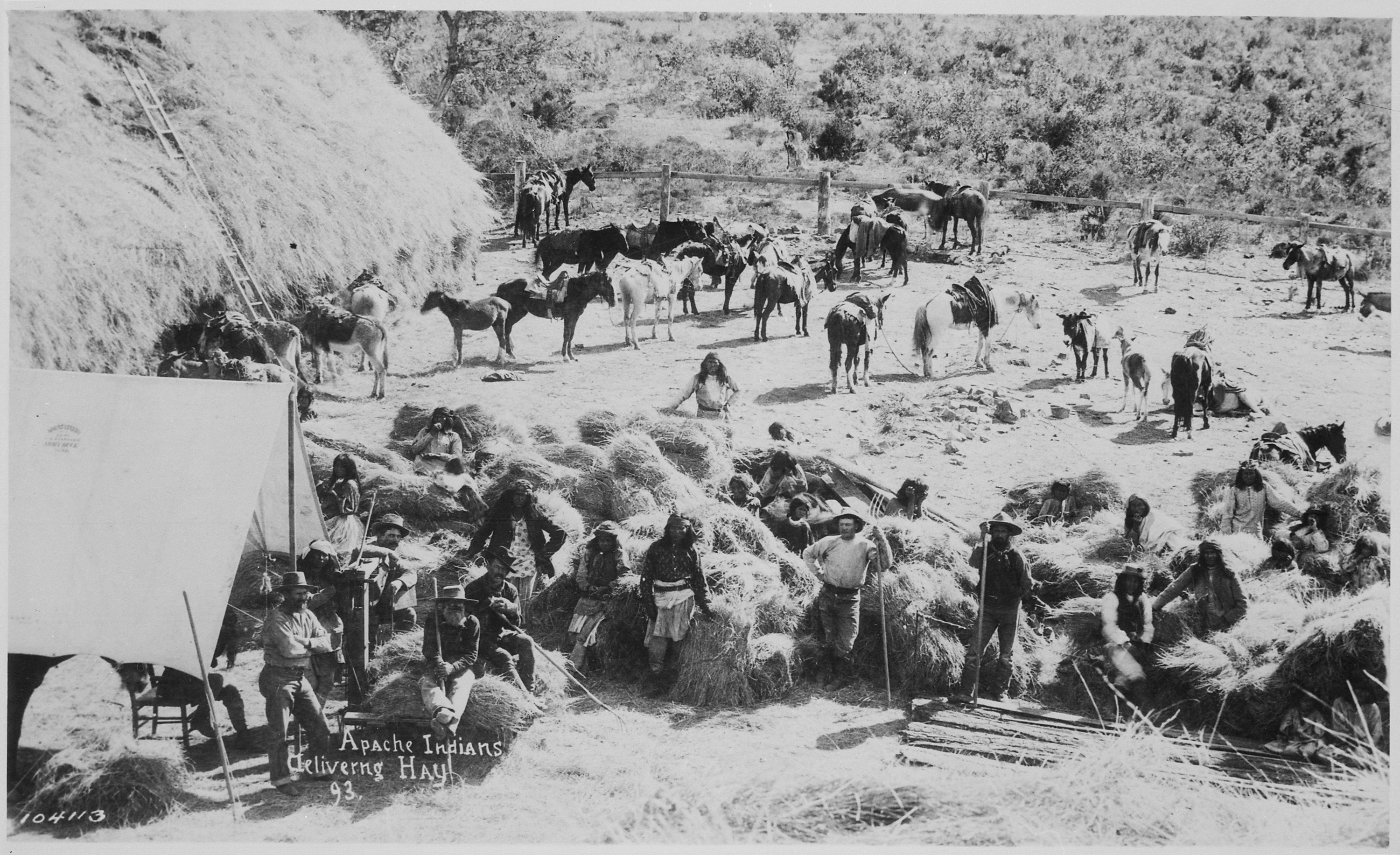 Apaches_delivering_hay_at_Fort_Apache_Arizona_1893