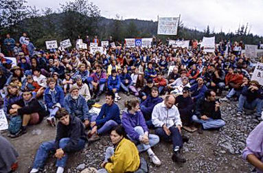 Protestation anti-coupe à Clayoquot Sound, Colombie—Britannique dans les années 90 (source)