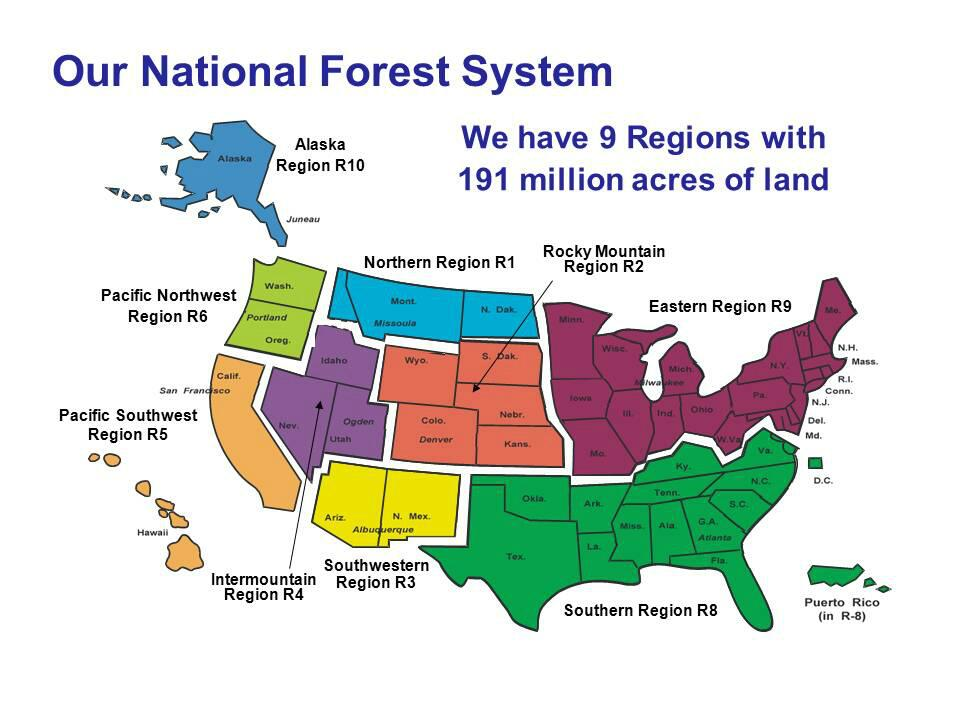 Les subdivisions régionales de l'USDA Forest Service