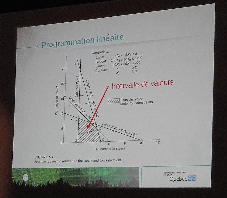 Illustration du principe de l'optimisation par le biais de la programmation linéaire. C'est le logiciel Mosek ("l'optimiseur") qui est en charge de cette tâche dans le calcul des possibilités forestières au Québec. (Photo: E. Alvarez)