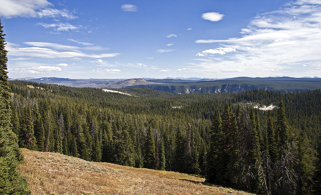 Paysage du parc Yellowstone (Auteur: Accoterions, Source)