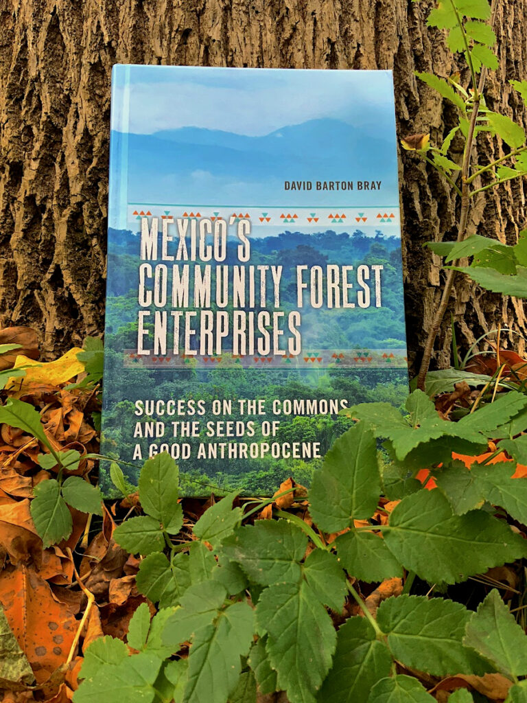 Couverture du livre «Mexico's community forest enterprises»