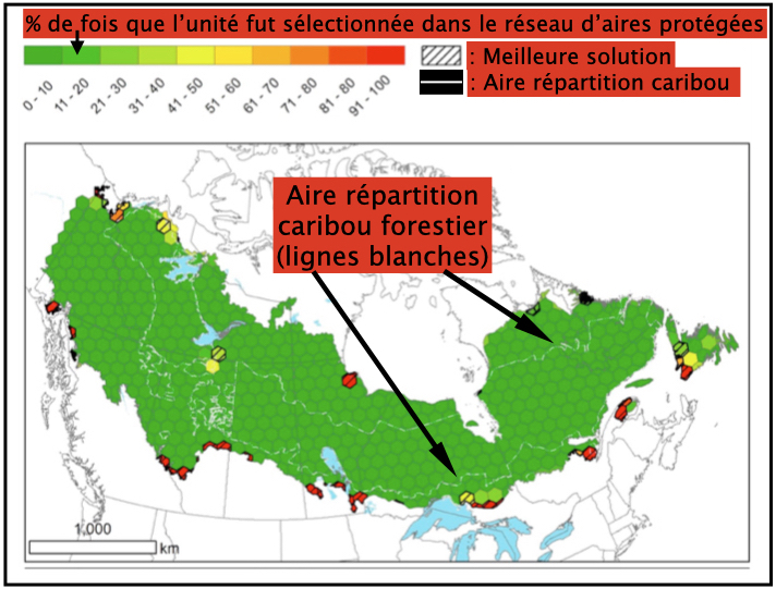 Pourcentages de fois que les unités d'analyse de 10 000 km2 furent sélectionnées par le logiciel MARXAN comme meilleure solution pour l'établissement d'un réseau d'aires protégées dans la forêt boréale canadienne et, en hachurés, la meilleure solution