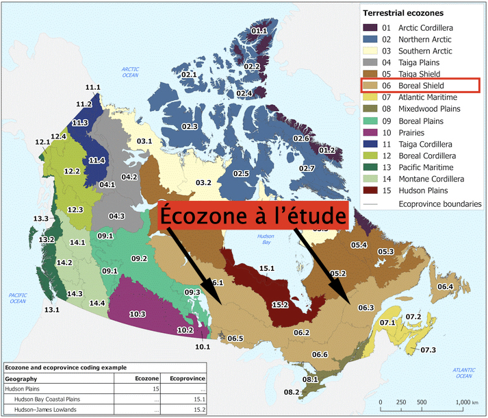 Écozones et écoprovinces terrestres du Canada