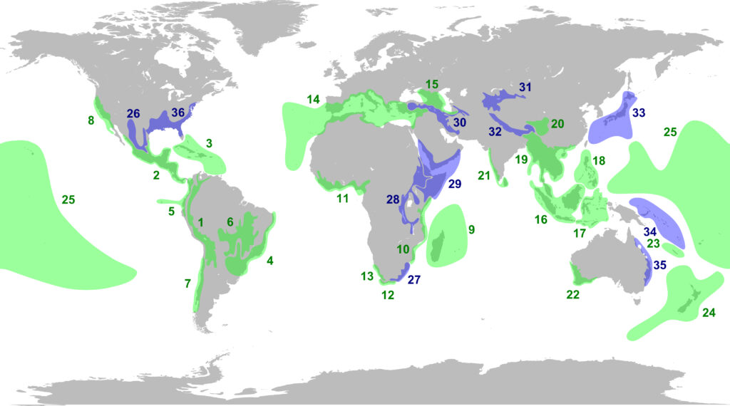 Les 36 « biodiversity hotspots » (Source)
