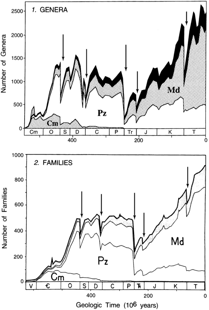 Figure présentant l'évolution du nombre de familles et de genres d'espèces marines dans le temps selon les données de Sepkoski. Les flèches indiquent les cinq extinctions de masse classiques. Il y a un accroissement du nombre de familles et de genres dans le temps avec cinq principaux creux.
