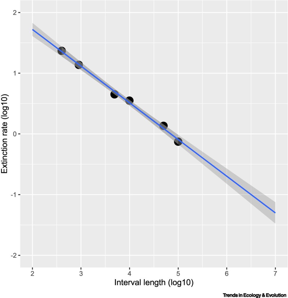 Figure présentant les récents taux d'extinctions d'espèces exprimés selon différentes échelles de temps. Plus le temps considéré est long, plus les taux sont bas. Et inversement.