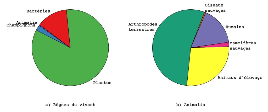 Figure montrant la proportion relative de la biomasse des différents règnes du vivant ainsi que la comparaison entre les principaux représentants du règne Animalia. Dans le premier cas, c'est le règne des Plantes (dont les arbres) qui domine. Dans le deuxième cas, ce sont les arthropodes terrestres qui dominent. Les animaux d'élevage représentent plus de biomasse que les mammifères et oiseaux sauvages réunis.