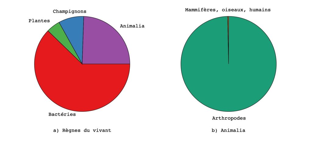 Figure montrant la proportion relative de l'histoire évolutive planétaire des différents règnes du vivant ainsi que la comparaison entre les principaux représentants du règne Animalia. Dans le premier cas, c'est le règne des bactéries qui domine. Dans le deuxième cas, ce sont les arthropodes qui dominent. Les humains, oiseaux et mammifères, même combinés, ne représentent qu'une très très faible proportion de l'histoire évolutive de la Terre.